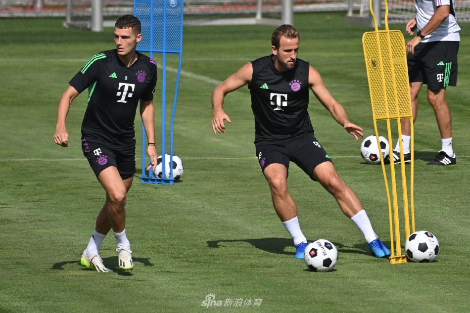 库里的领导 库里的领导